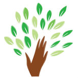 Carrum Downs Medical Centre Book Doctors Online With Hotdoc